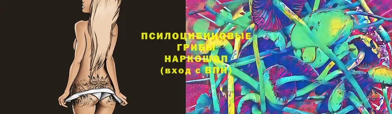 мега рабочий сайт  купить закладку  дарк нет телеграм  Псилоцибиновые грибы MAGIC MUSHROOMS  Апрелевка 